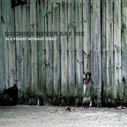 In a Forest Without Trees